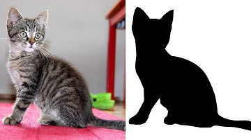 GIMP Tutorial : Silhouette | Photoshop Alternative | #41