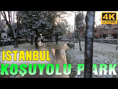 ISTANBUL WALK TOUR  🇹🇷  KOŞUYOLU PARK IN SNOWY DAY TURKEY 4K