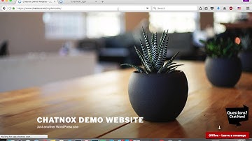 How to add Live Chat to your Wordpress Website Detailed Instructions