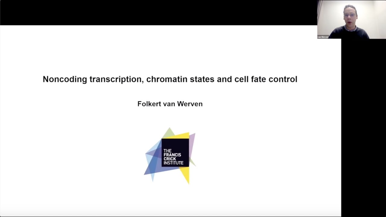 Folkert van Werven: "Noncoding transcription, chromatin states and cell fate control"