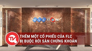 Thêm một cổ phiếu của FLC bị bắt buộc rời sàn chứng khoán | Truyền hình Quốc hội Việt Nam