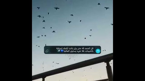 حالات واتس||القارئ/اسلام صبحي||سورة/الشعراء||تصاميم قران||انستقرام||استوري||مقاطع قصيرة