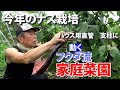 【家庭菜園】今年のナス栽培　ハウス用直管　支柱に（おまかせ菜園フクダ流）