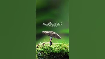 سورة النمل (86) #اكسبلور #قران_كريم #المصحف #راحة_نفسية #ياسر_الدوسري #dance #duet