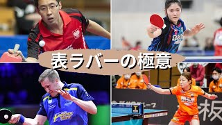 極意４表ラバーの極意ファルク選手木原選手安藤選手王増翠選手から学ぶ卓球の強化書卓球 戦術 表ラバー