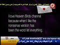 فاصل رسائل حب الخرابيط قناة طيور الجنة 2009 أرشيف بكر