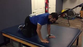 Quadruped Rotational Stability