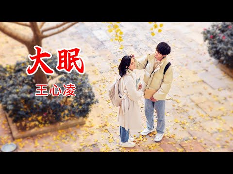 王心凌Cyndi Wang- 大眠（高音質純享版）『都快忘了怎樣戀一個愛 我被虛度了的青春也許還能活過來』【動態歌詞/PinyinLyrics】
