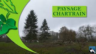 Abattage Dun Peuplier De 80 Ans - Sarl Paysage Chartrain