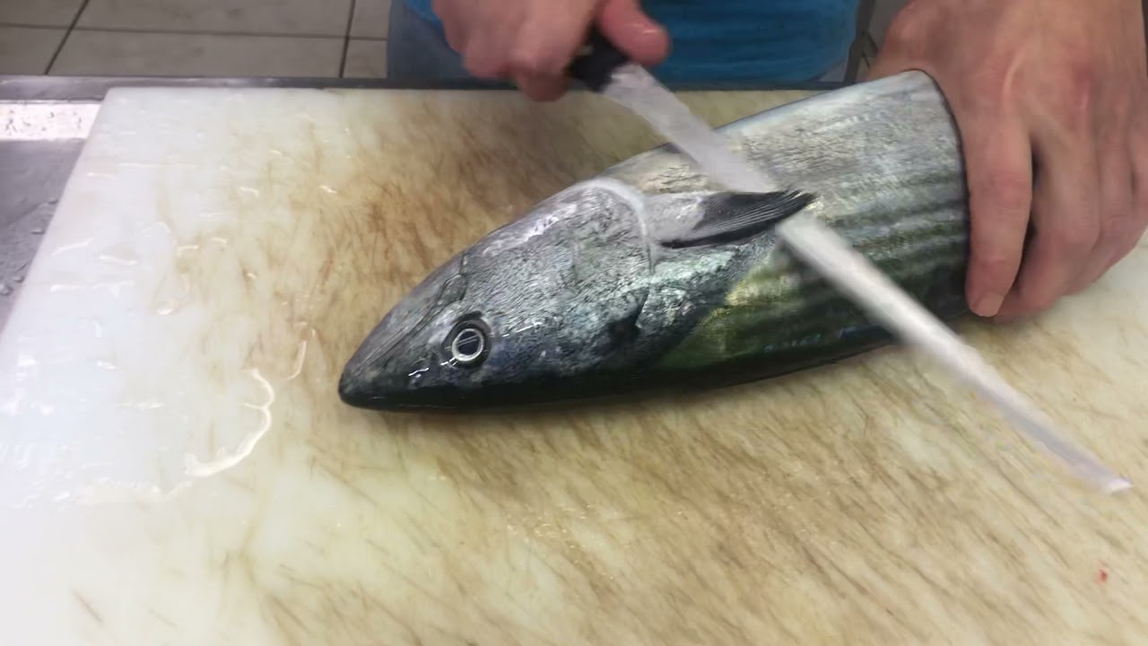 Torik Balıgı Nasıl Dilim Dilim Kesilir🔪🇹🇷 - YouTube