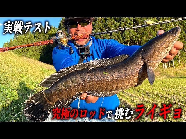 ライギョタックルと名がつく理由は使って釣る愉しさに有り - YouTube