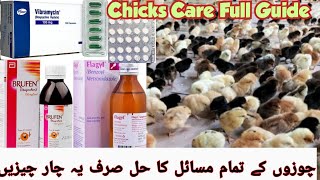 Chicks care detail guide / Changing weather and poultry disease