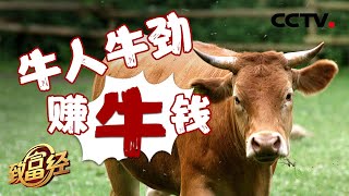 十天完成3,700,000元订单 他靠什么盘活事业挽回婚姻 | CCTV「致富经」20200805