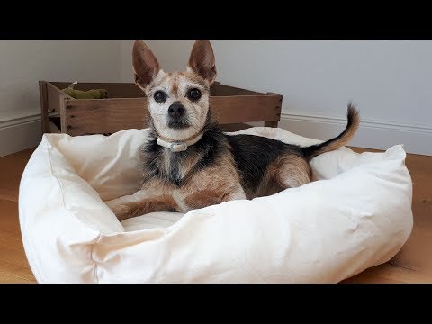 diy-hundekörbchen-selber-nähen-hundebett-hundekorb-selber-machen