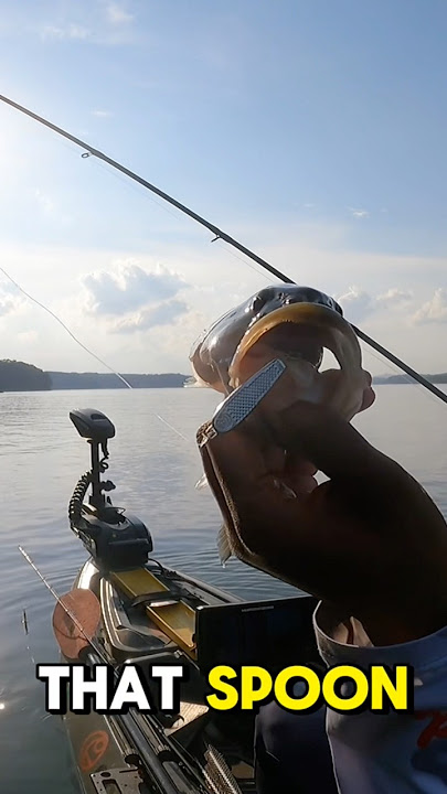Match the shad! A spoon’s flash mimics baitfish perfectly 🎣 #fishingtechniques