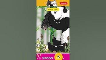 FUNNY VIDEO - GẤU TRÚC đã từng ăn thịt trước khi “ăn chay” #shortvideo #funny #animals #panda #short