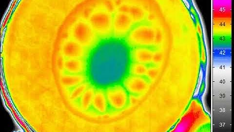 Sessile Droplet Evaporation in Microgravity(IR view)