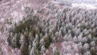 Полёт над зимним лесом (ОТКРЫВАЕМ ВИДЕО НА ВЕСЬ ЭКРАН)