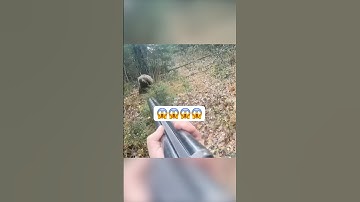 Bear attacks hunter
