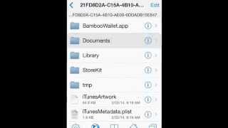How To Hack Bamboo wallet With Ifile