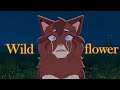Wildflower // Complete PMV