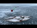 Зимняя рыбалка на корюшку | Ловля корюшки на дамбе Финского залива | Февраль 2021