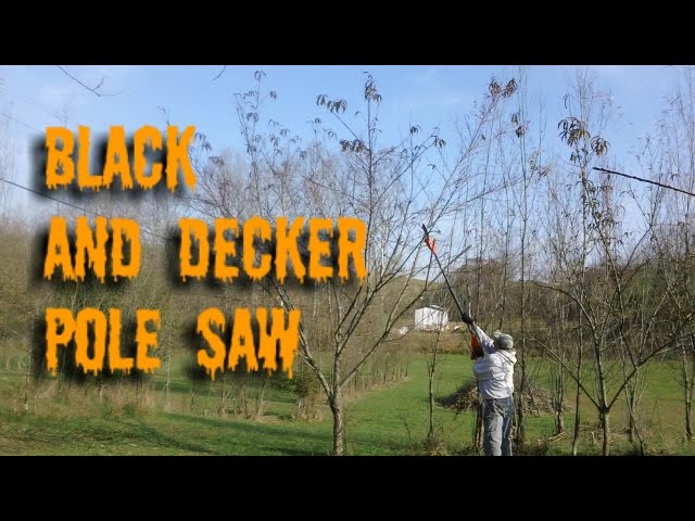 Unboxing] Black & Decker LPP120 20-Volt Lithium-Ion Pole Pruning Saw 