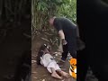 Боец убивающий касанием! Полное видео в шапке профиля! #безконтактныйбой #кунгфу #мма #бокс #мастер