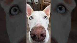 Yuki From Every Angle