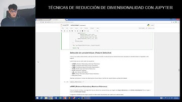 TÉCNICAS DE REDUCCIÓN DE DIMENSIONALIDAD CON JUPYTER