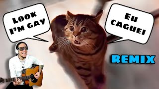 Gatinho canta 'EU CAGUEI' / Cat sings 'LOOK, I'M GAY'