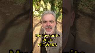 👉 British Spring Wildflowers 🌼 Bluebells, Buttercups &amp; More!