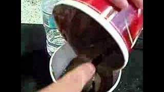 Binge icecream eating