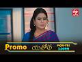 Yashoda Latest Promo | Episode No 149 | 20th April 2026 | ETV Telugu
