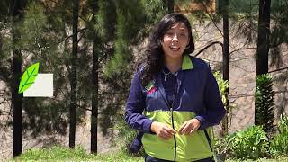 Clasificación de desechos y residuos - Talleres Verdes 🌿