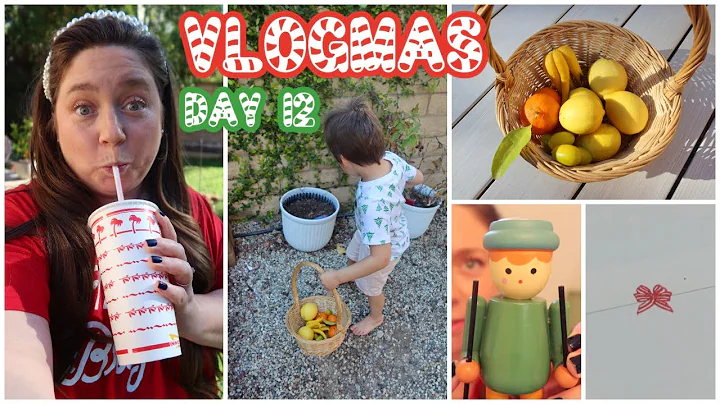 Vlogmas Day 12! citrus harvest, errands & Christmas cards! 2025