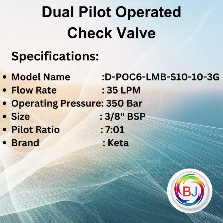 Dual Pilot Operated Check Valve