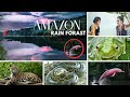 Amazon Rainforest – The World’s 🌍 Largest Jungle & Its Secrets 🌿 || Mystery Of Amazon || The Arman