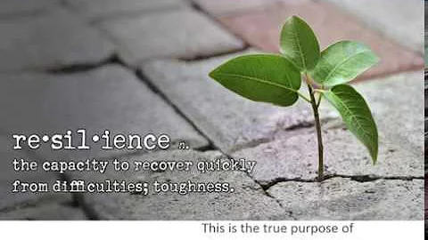 Non Profit Boot Camp - Demystifying Strategic Planning with Tamara Jones - PART 1