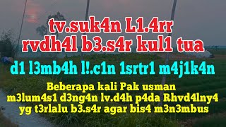 seperti inilah panen garam dimusim kemarau basah tahun ini_ kisah nyata cerpen romantis