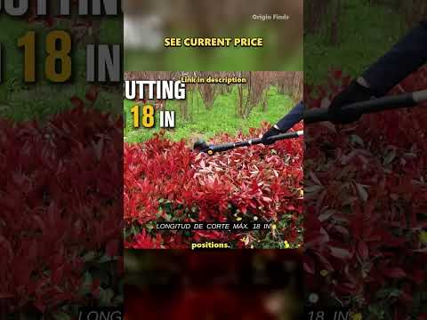 One Hedge Trimmer Angle for Every Section? video thumbnail