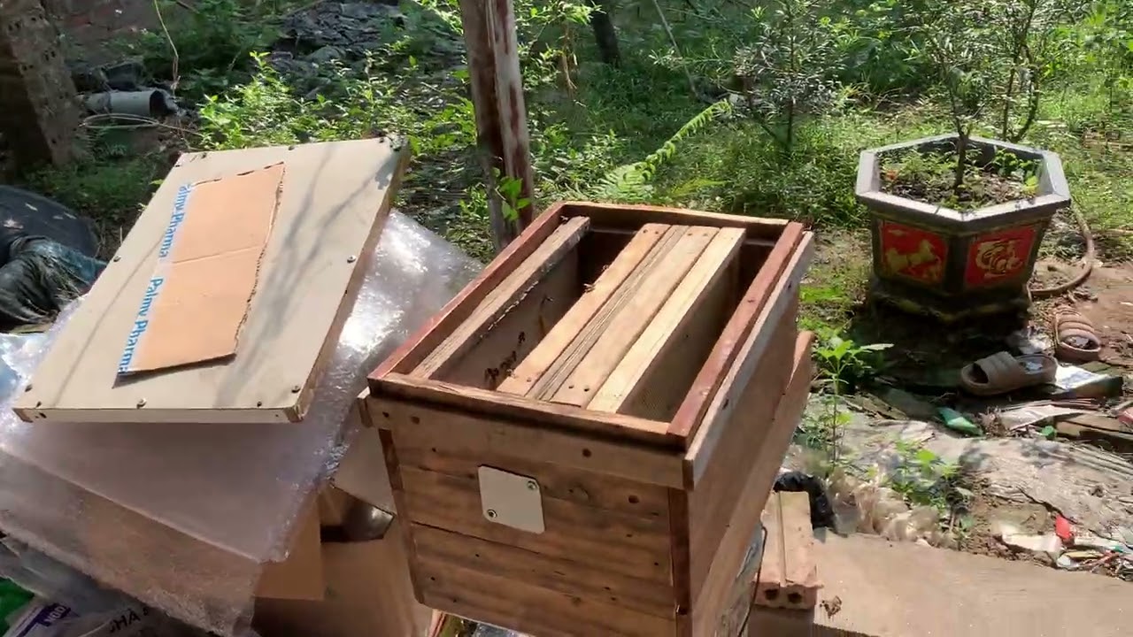 Nuôi ong lấy mật