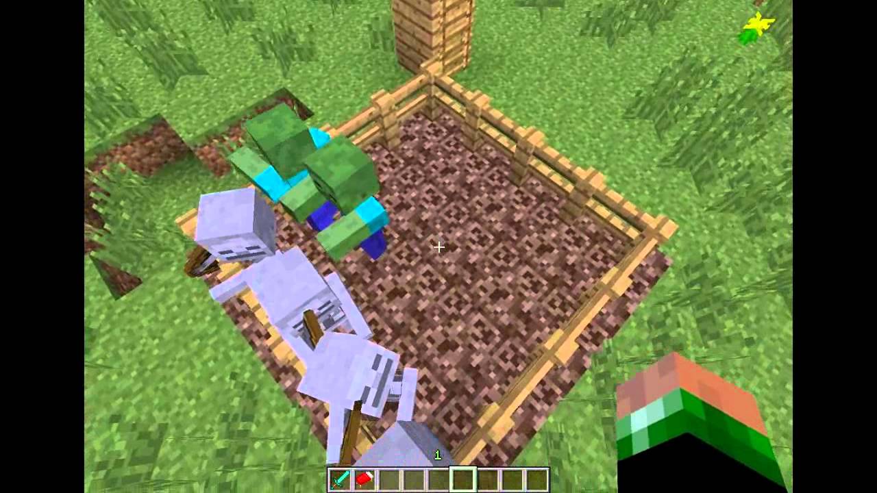30 Cose Che Non Sai Su Minecraft