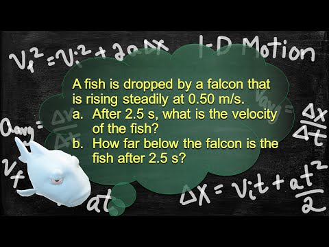 Physics Problem Solver Walk-through Follow Along 1-D Motion Velocity Acceleration Hard 6