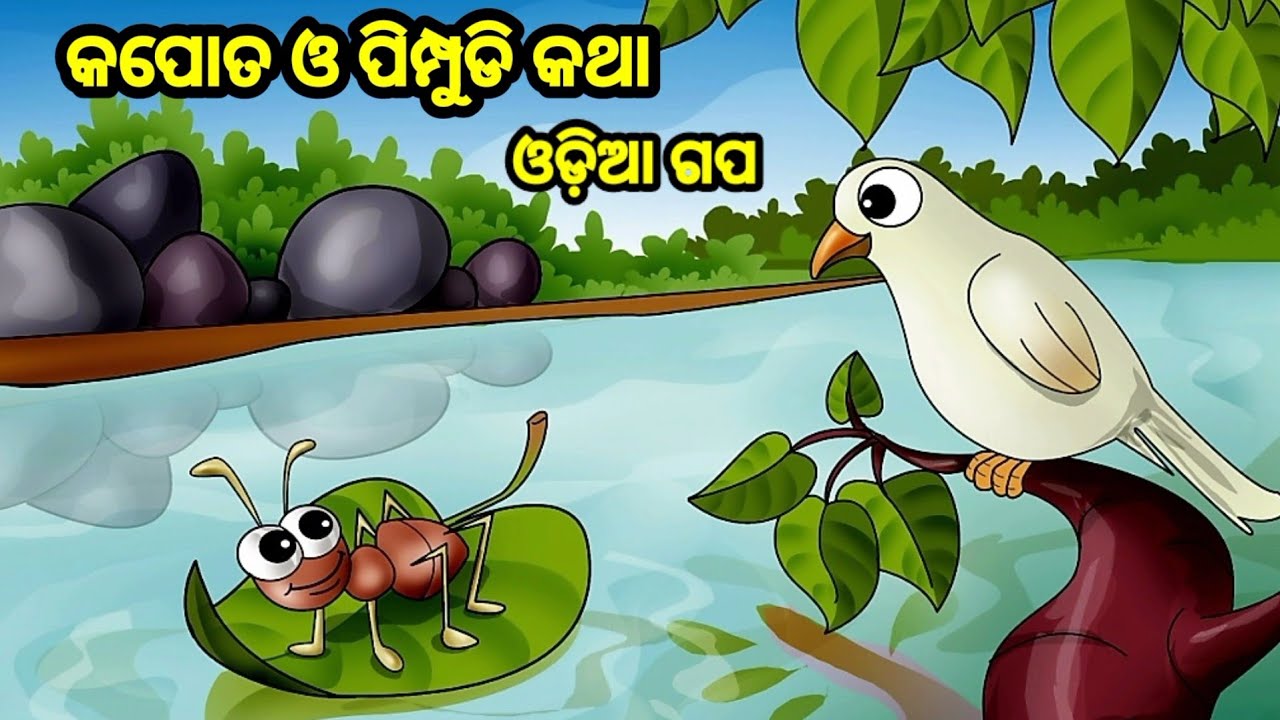 କପୋତ ଓ ପିମ୍ପୁଡି ଗପ /odia story gapa /odia moral story/odia cartoon ...