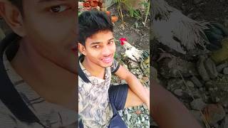 Murga khayenge aaj Mini Vlog ? shorts vlog minivlog shortvideo ytshorts freefireshorts short