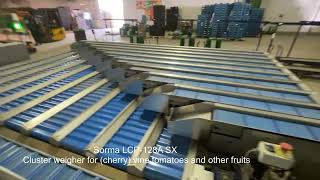 Sorma Lcp 128A Sx Cluster Weigher For Cherry Vine Tomatoes And Other Fruits