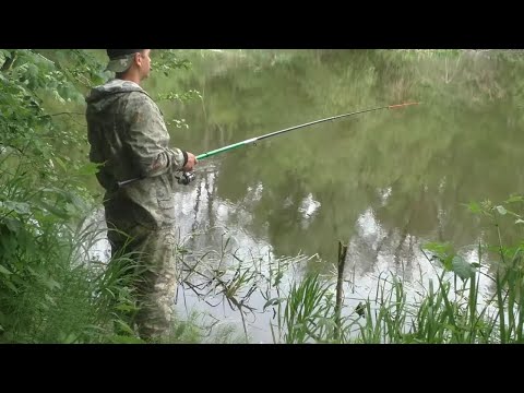 Видео: НЕ РЫБАЛКА, А СКАЗКА. Рыбалка на поплавок в мае на реке.