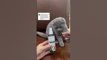 Cặp đôi khử mùi triệt để cho thú cưng