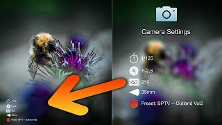 How to Display EXIF Camera Settings on Exports
